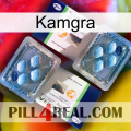 Kamgra viagra5